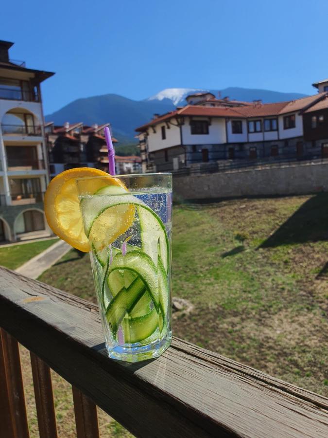 Koko'S Apartments 2 Bansko Exteriér fotografie